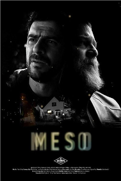 Póster de Flesh