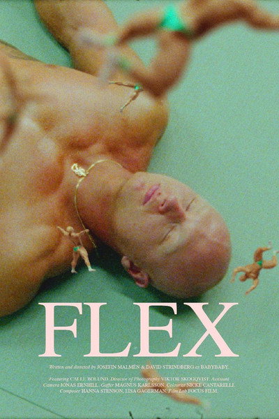 Póster de Flex