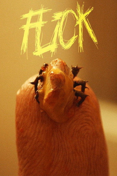 Póster de Flick