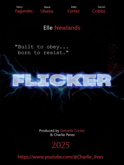 Póster de Flicker