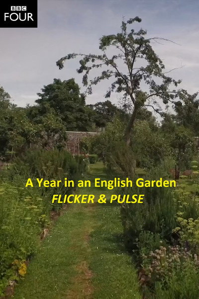 Póster de Flicker + Pulse