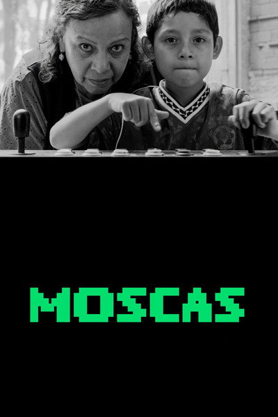 Póster de Flies