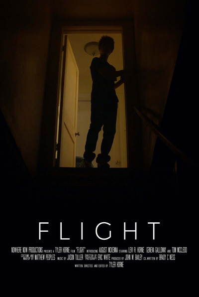 Póster de Flight