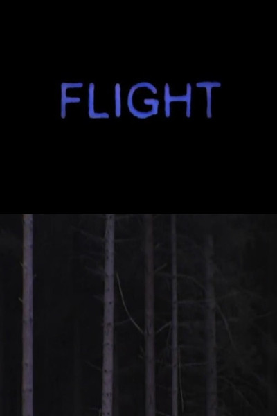 Póster de Flight