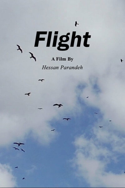 Póster de Flight