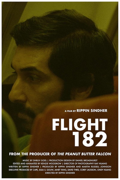 Póster de Flight 182