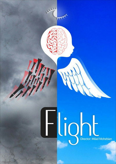 Póster de flight