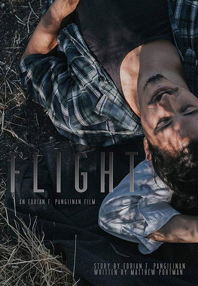 Póster de Flight