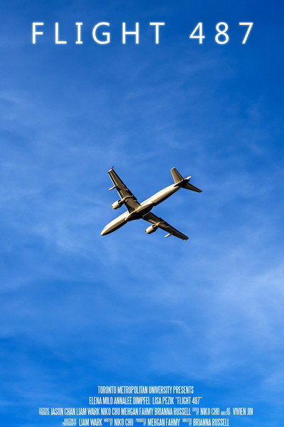 Póster de Flight 487