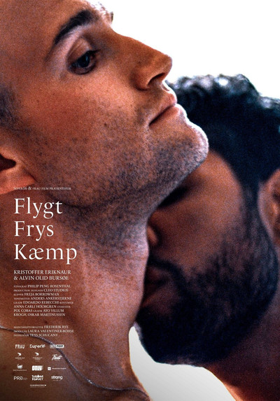 Póster de Flight Freeze Fight