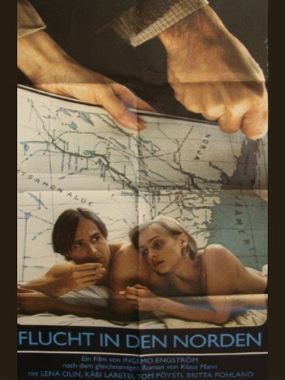 Póster de Flight North