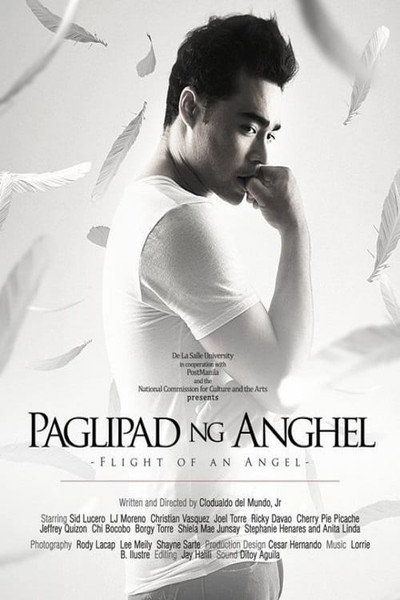 Póster de Flight of an Angel