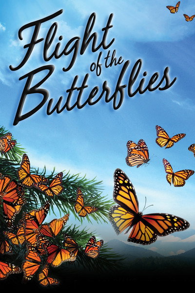 Póster de Flight of the Butterflies