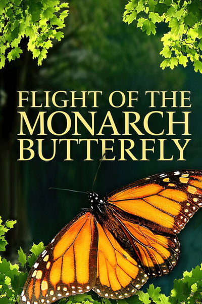 Póster de Flight of the Monarch Butterfly 3D