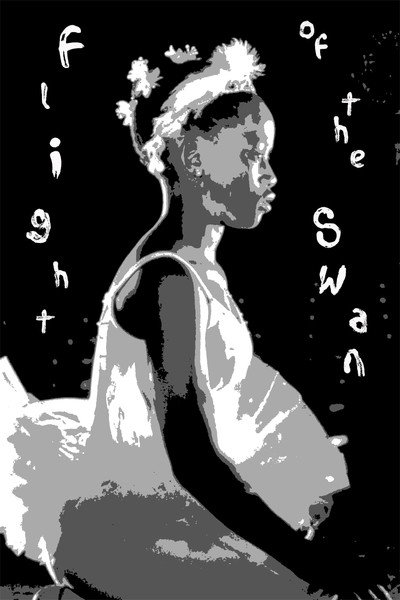 Póster de Flight of the Swan