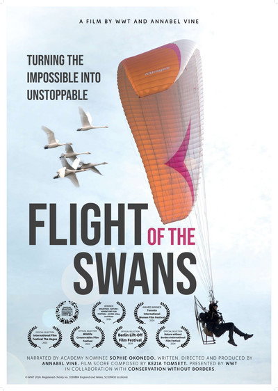 Póster de Flight of the Swans