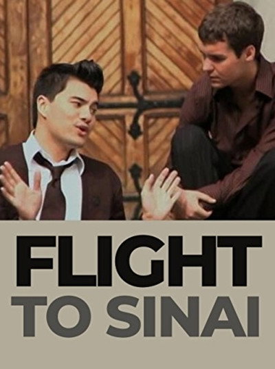 Póster de Flight to Sinai