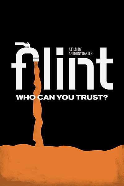 Póster de Flint