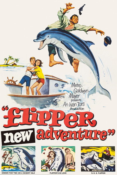 Póster de Flipper y los piratas