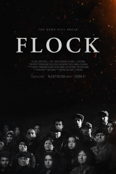 Póster de Flock