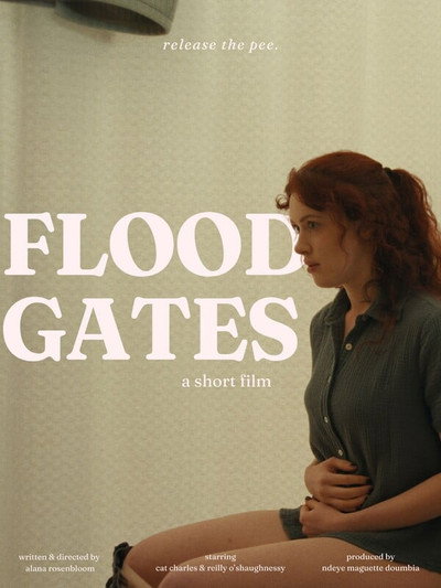 Póster de Floodgates