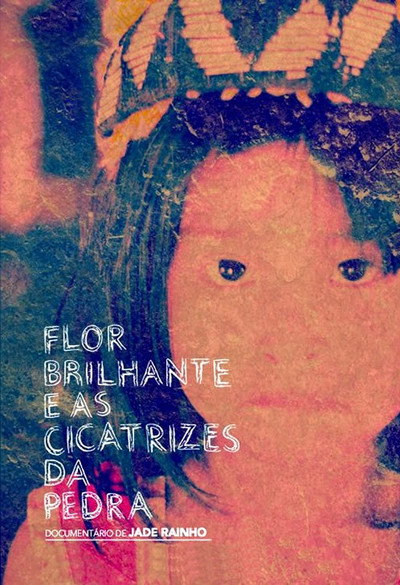 Póster de Flor Brilhante E as Cicatrizes Da Pedra