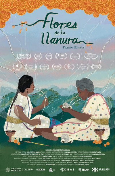 Póster de Flores de la llanura