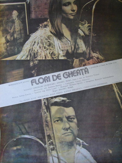 Póster de Flori de gheata