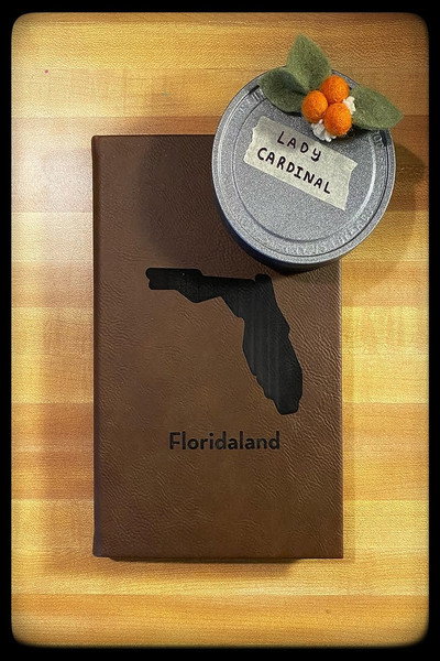 Póster de Floridaland