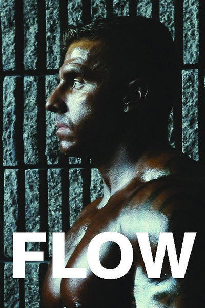 Póster de Flow