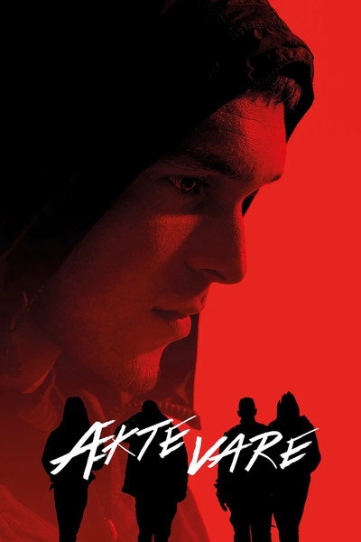 Póster de Flow