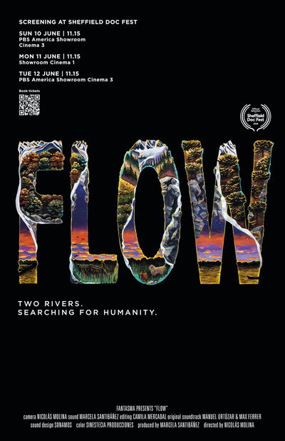 Póster de Flow