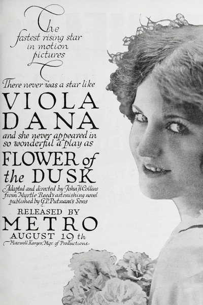 Póster de Flower of the Dusk