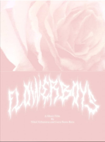 Póster de Flowerboys