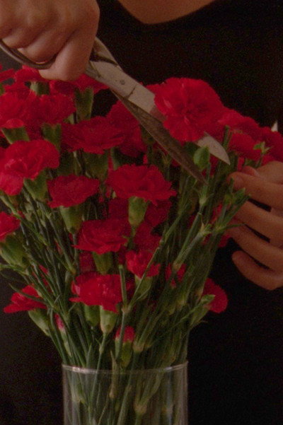 Póster de Flowers blooming in our throats