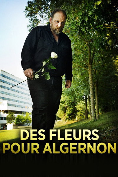 Póster de Flowers for Algernon