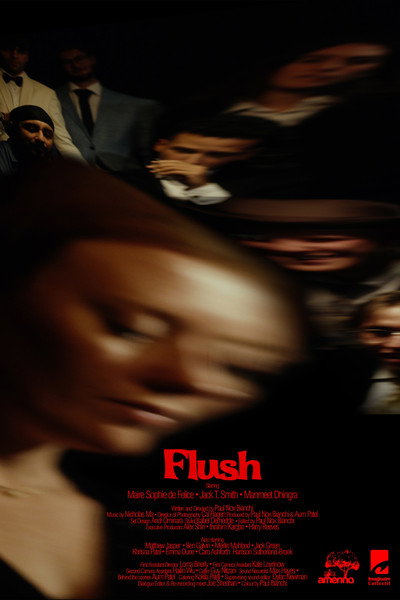 Póster de Flush