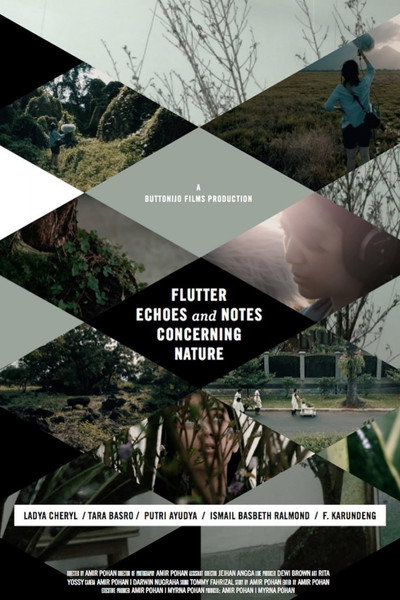Póster de Flutter Echoes and Notes Concerning Nature