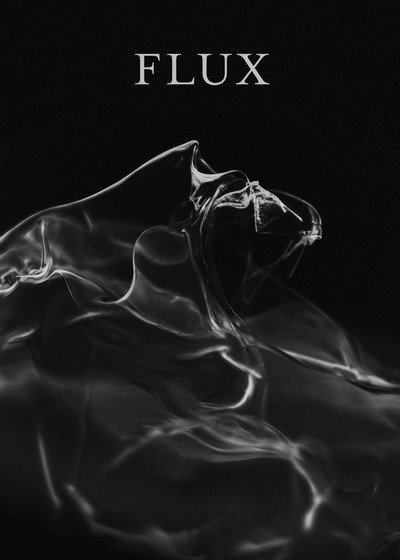 Póster de Flux