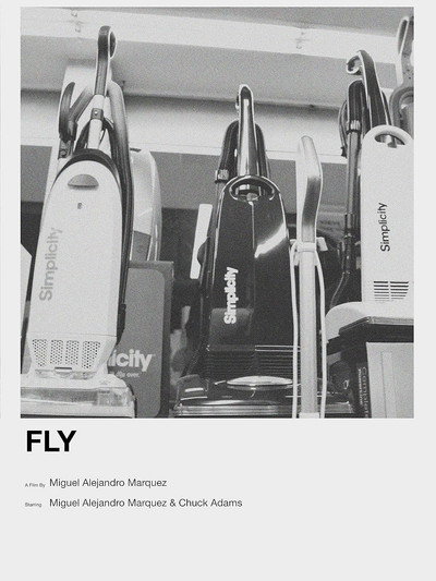 Póster de Fly