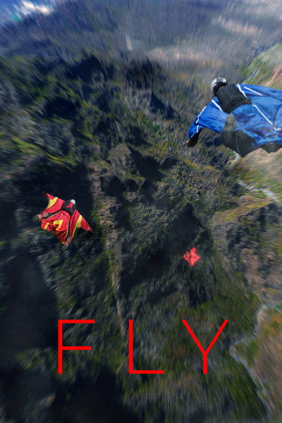 Póster de Fly