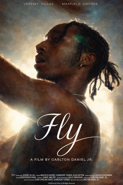 Póster de Fly