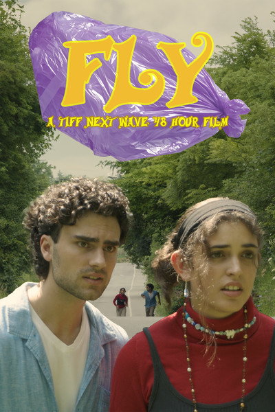 Póster de Fly