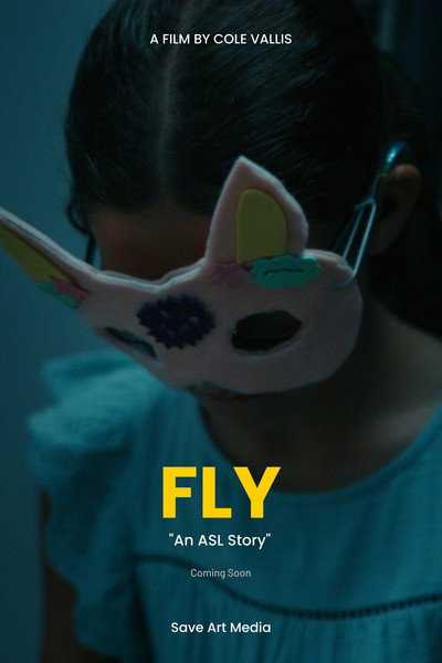 Póster de Fly