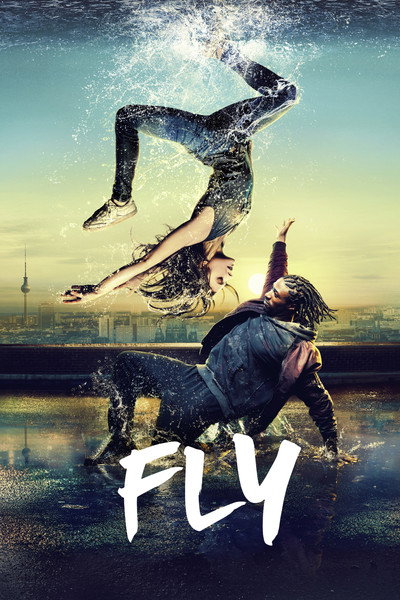Póster de Fly