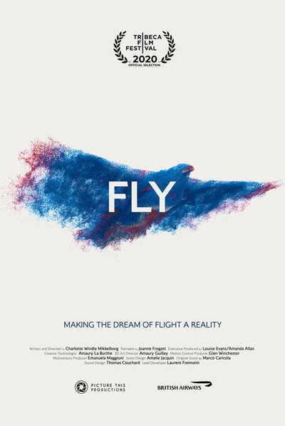 Póster de Fly