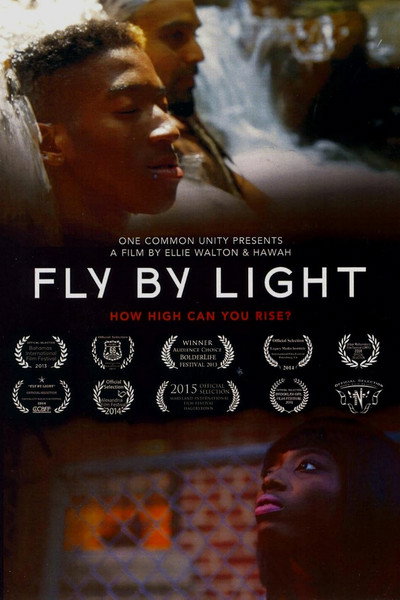 Póster de Fly by Light