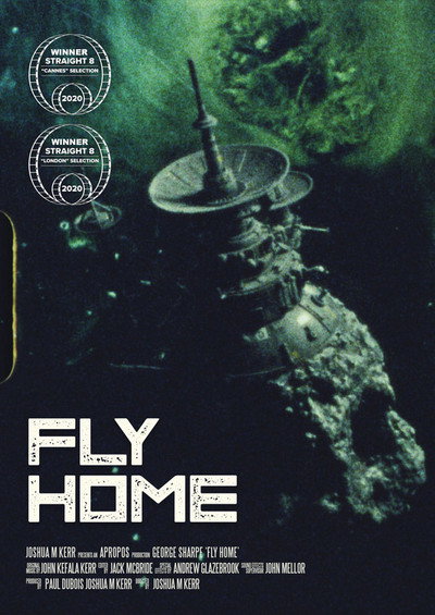 Póster de Fly Home