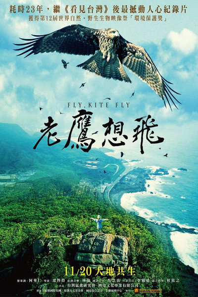 Póster de Fly, Kite Fly