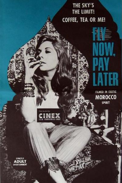 Póster de Fly Now, Pay Later